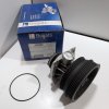 C (83) Pompe à eau Fiat Brava Bravo Marea Palio Multipla Stilo 1.6 16v Neuf Bugatti Arrivages Auto Pieces